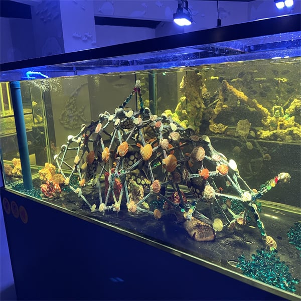 Benefits of Acrylic Fish Tanks