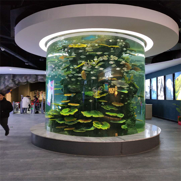 Reach New Heights With A Column Cylinder Fish Tank