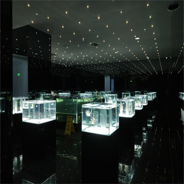 Designing Your Dream Large Fish Aquarium.