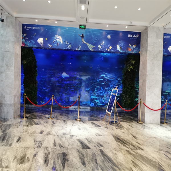 Discovering the perfect big fish tank for your home