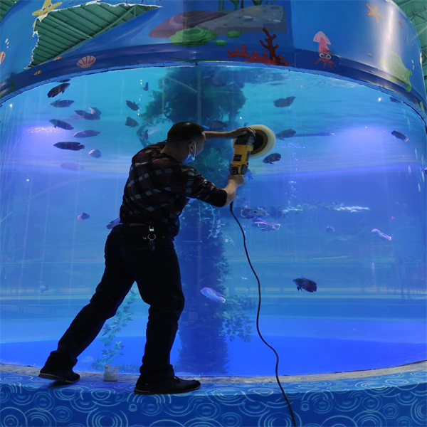 How To Enhance your Fish Tank with a Cylinder Aquarium