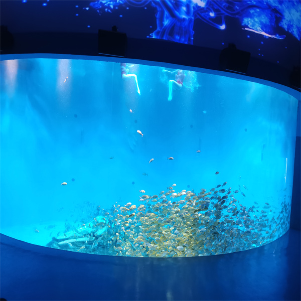 Transform your Living Space into an Underwater Oasis with a Jellyfish Aquarium Large Design