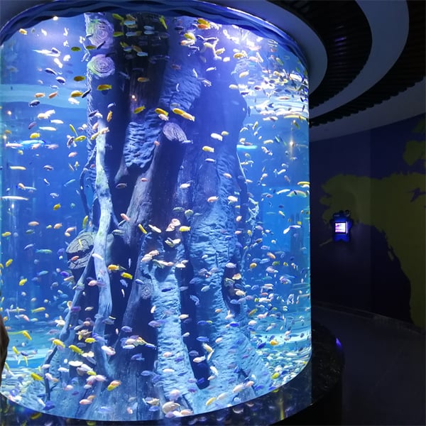 An Exceptional Cylinder Fish Tank to Enhance Your Home Decoration