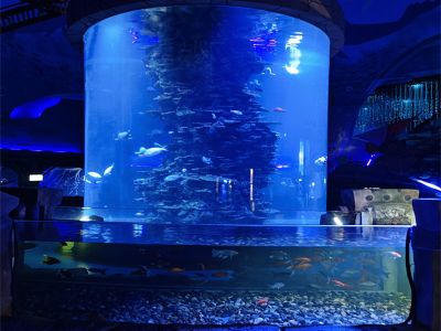 How Large Acrylic Aquariums Can Enhance Your Commercial Spaces Atmosphere
