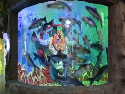 Why a Large Acrylic Aquarium provides better views for visitors