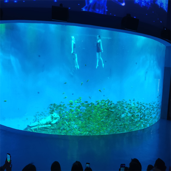 Experience the Calm and Wonder of the Ocean with a Jellyfish Aquarium Large Design