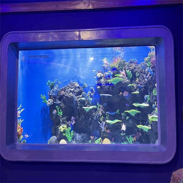 Custom Acrylic Fish Tanks