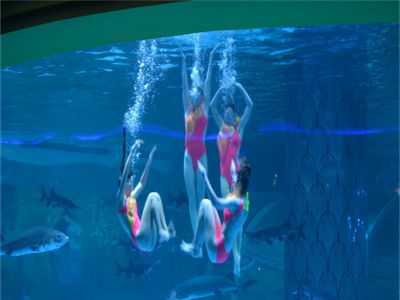 The Role of Acrylic in Modern Aquarium Tank Designs