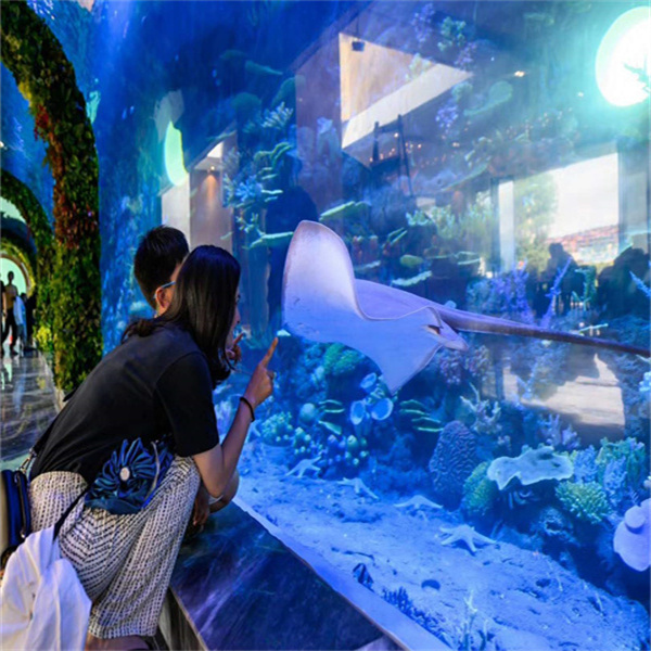 Experience the Mesmerizing Beauty of a Lavish Goldfish Aquarium Setup