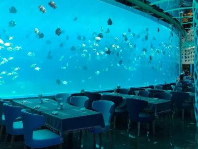 What Makes Large Aquarium Windows a Must-Have for Spectacular Underwater Views