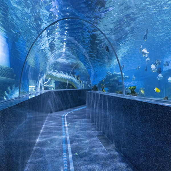 Exploring Marine Life in a Spectacular Water Tunnel Aquarium