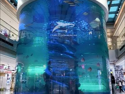 Professional Water Circulation System for Jellyfish Aquarium Large Design