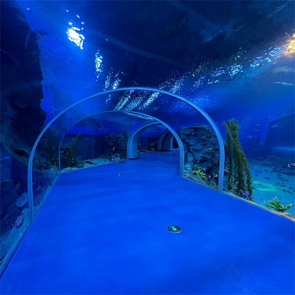Taking a journey through sunken aquarium tunnels.