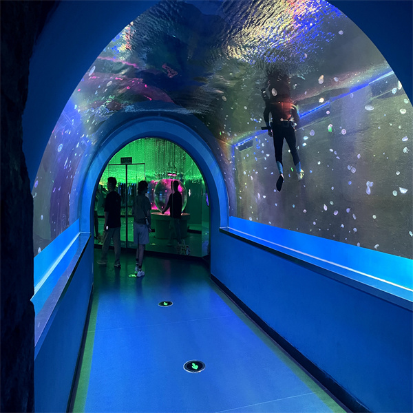Discover the Hidden Treasures of the Ocean in Our Captivating Underwater Tunnel Aquarium