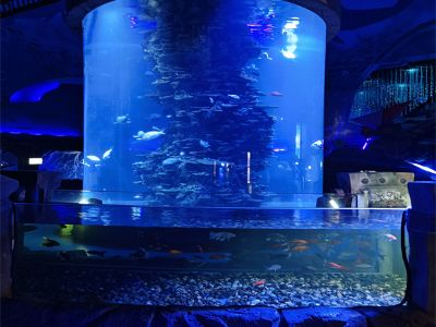What to Consider When Designing a Custom Acrylic Aquarium