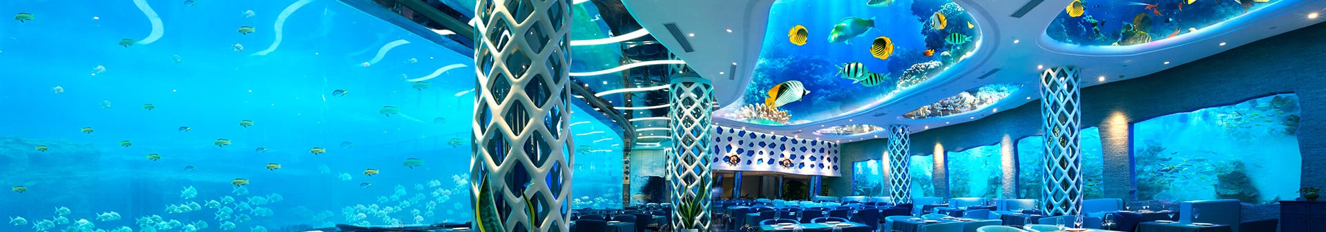 Service - Shanghai Lanhu Aquarium Engineering Co., Ltd.