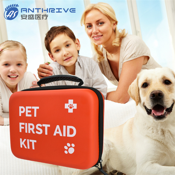 Everything you need to include in your pet first aid kit for dogs.