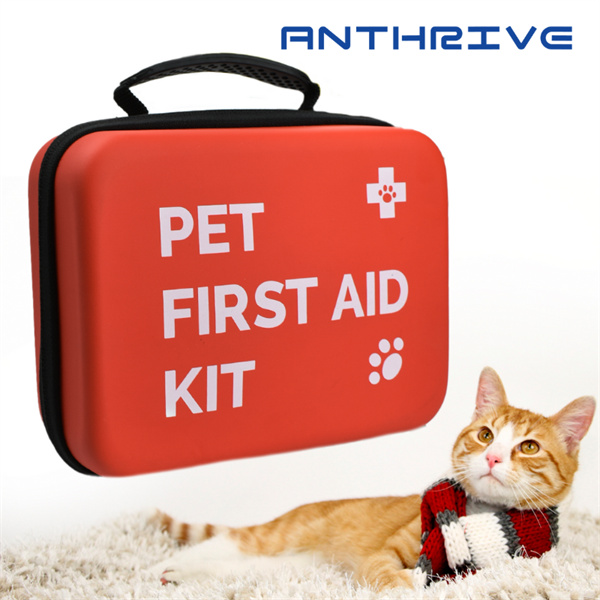 How to create a personalized pet first aid kit.
