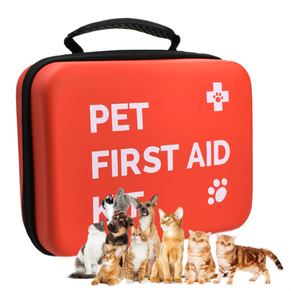 Assemble a pet first aid kit for your dog today.