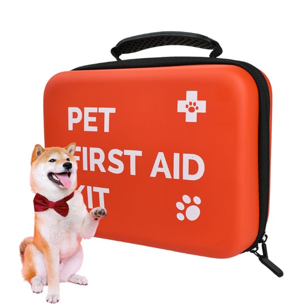 The top 5 must-have items for your dog medicine kit.