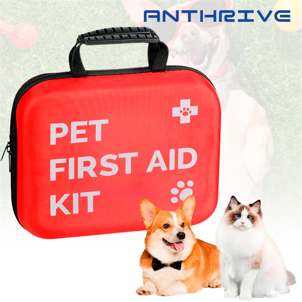 How a Dog First Aid Kit Can Save Your Pet's Life