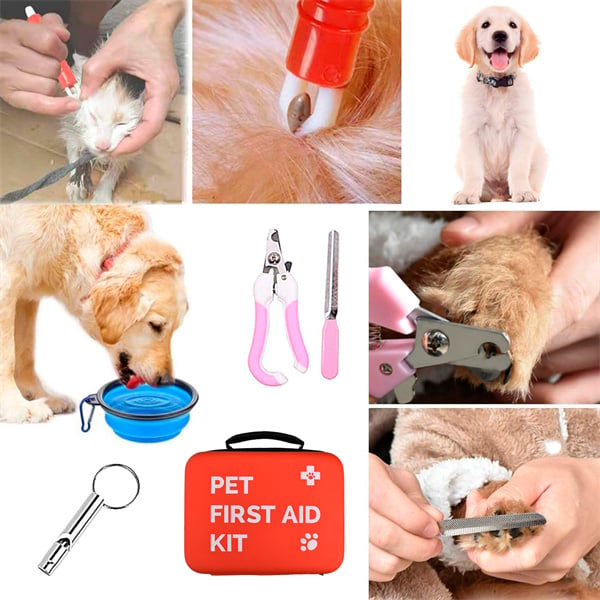 Be prepared for any situation with a well-stocked dog medicine kit.