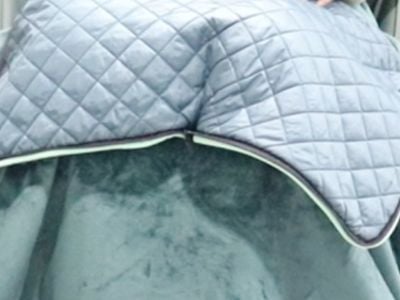 The Ultimate Guide to Caring for Your Flannel Blankets