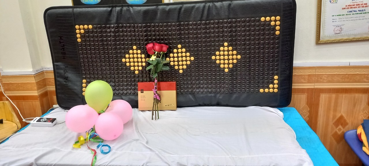 E50 Mat Mattress Stone Korea Heating Thermal Far Infrared Ceragem Heat Health Heated Massage Bed Jade Tourmaline Pillow details
