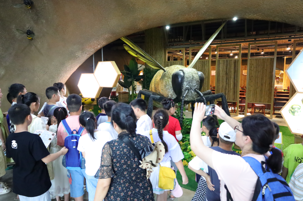 Parent -child tourism of Bee Kingdom Museum from Hunan, Guizhou, and Yunnan