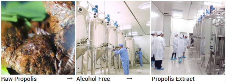Raw Propolis Extract Pure Bee Propolis Cream factory