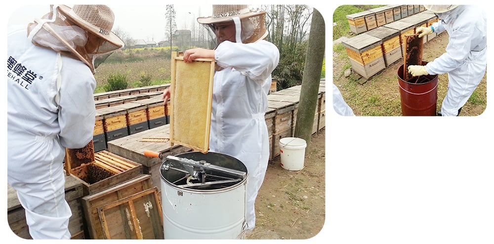 Bulk 100% Natural Bee Comb Honey factory