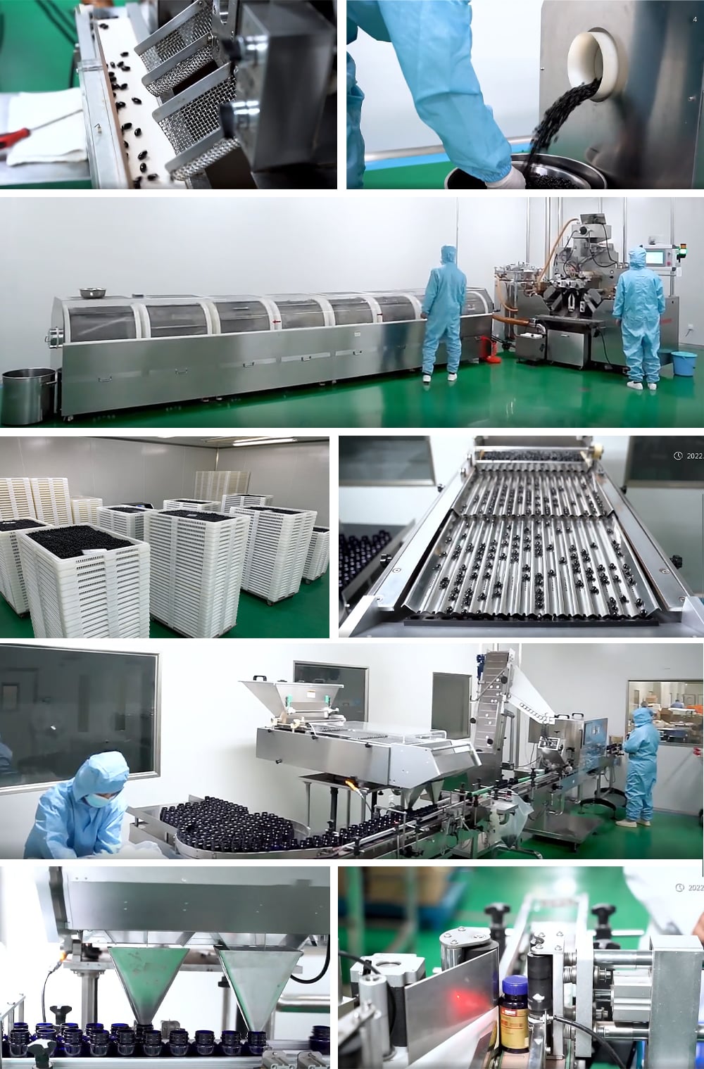Royal Jelly Capsules factory