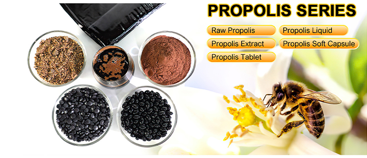 Wholesale Propolis Extract Powder factory