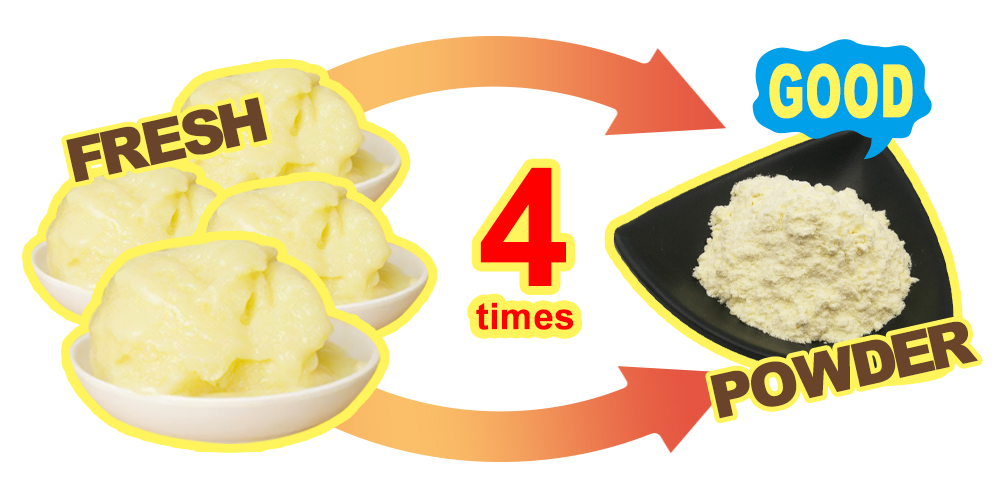 NOP EOS Lyophilized Royal Jelly Powder Pure Royal Jelly Extract manufacture