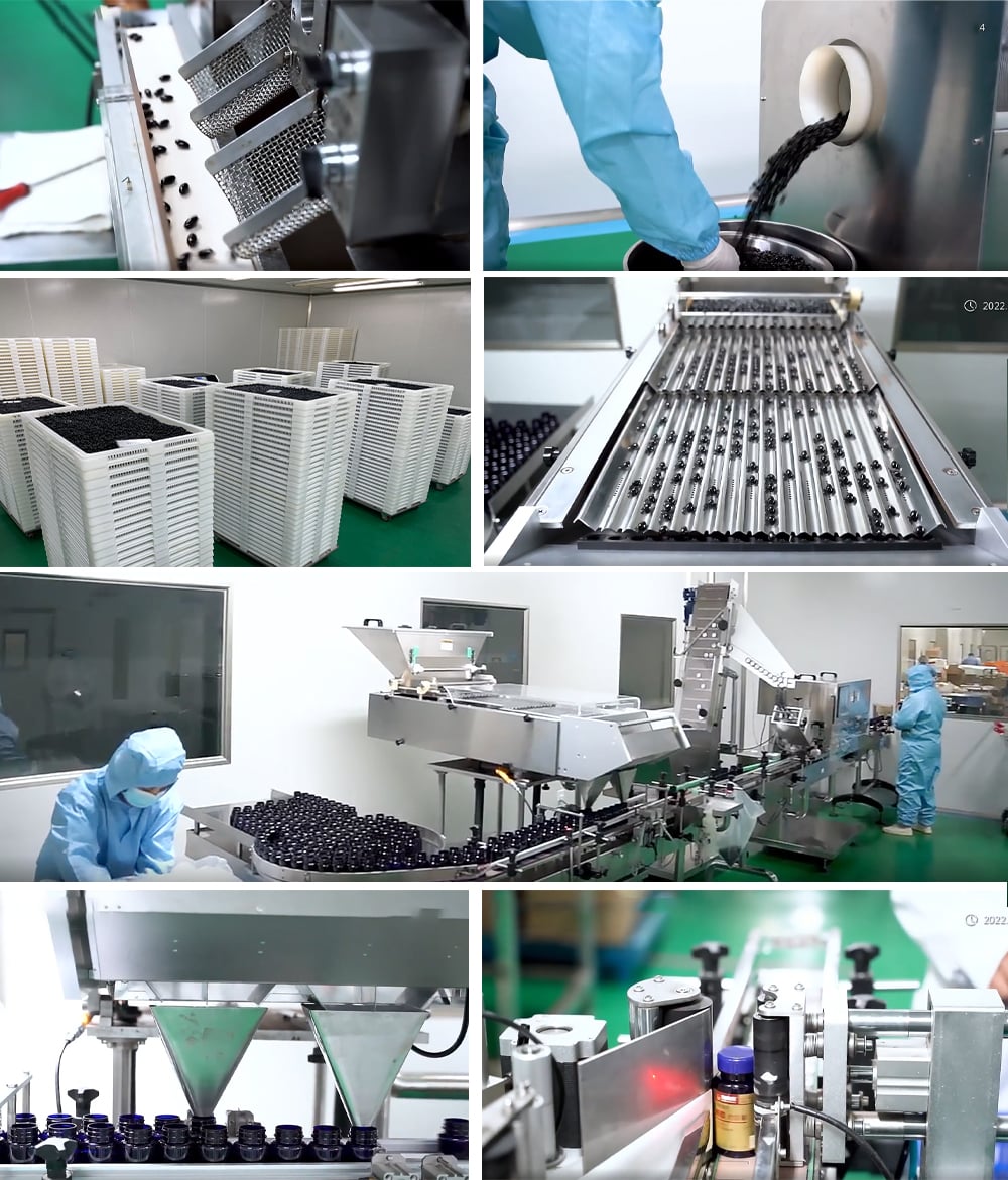 Improves Memory Best Natural Brain Supplements Propolis Soft Capsules factory
