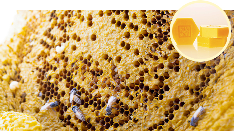 Pure Natural Organic Bulk White Beeswax manufacture