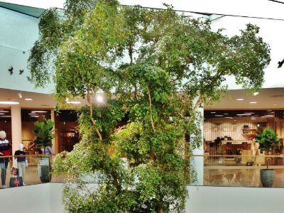 تثبيت أشجار اصطناعية كبيرة الحجم في مراكز التسوق