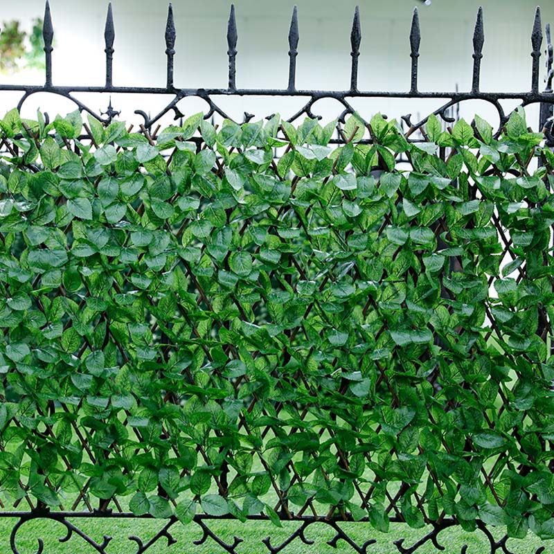 مزایای استفاده از گیاهان توپی‌شکل تاپیاری در فضاهای تجاری چیست؟