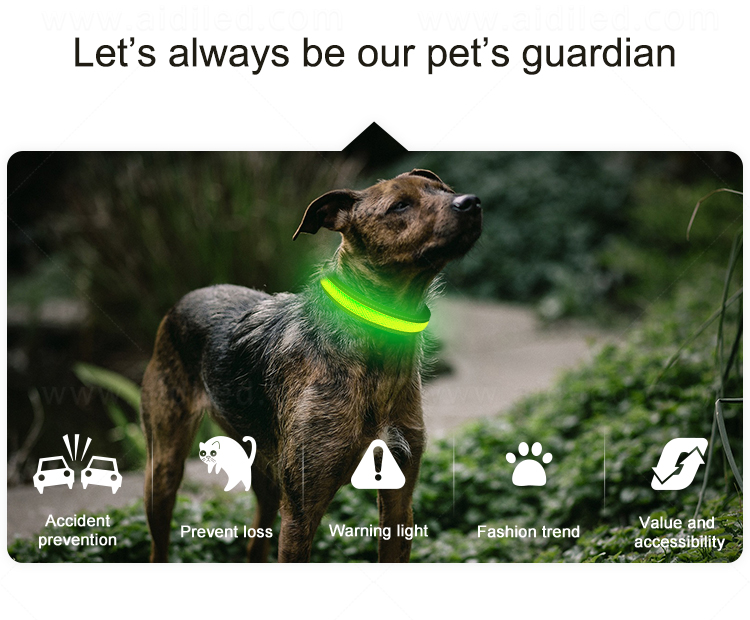 AIDI-C11NEW LED dog collar supplier
