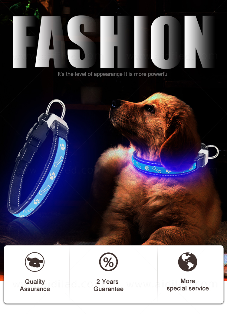 Collier à LED pour chien AIDI-C19