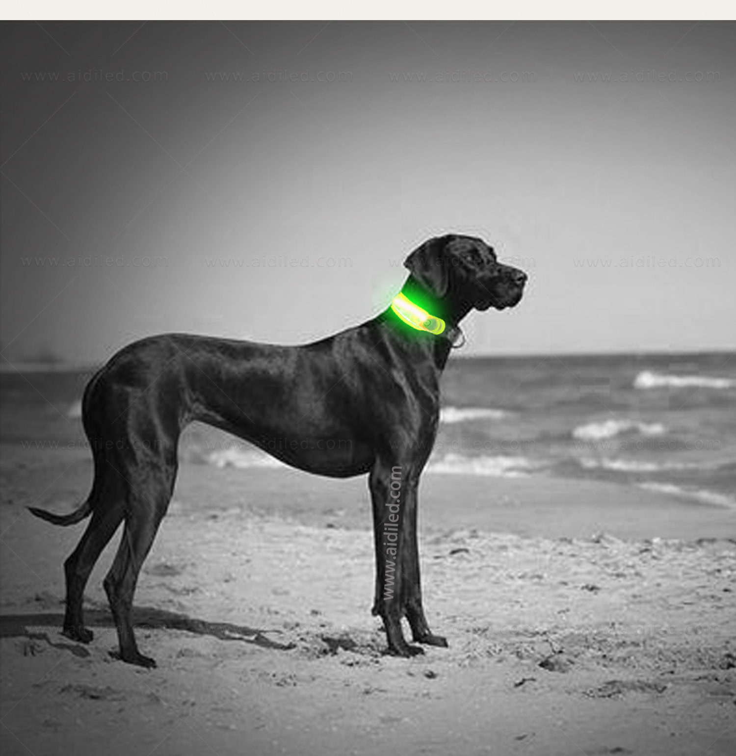 AIDI-M3 LED dog collar manufacture