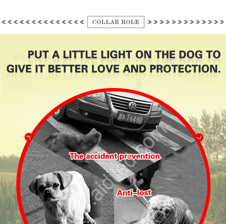 AIDI-M2  LED Dog harness details