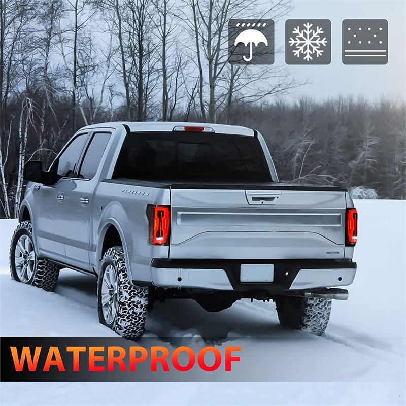 Spedking zádové světlo pro Ford f150 2015-2020