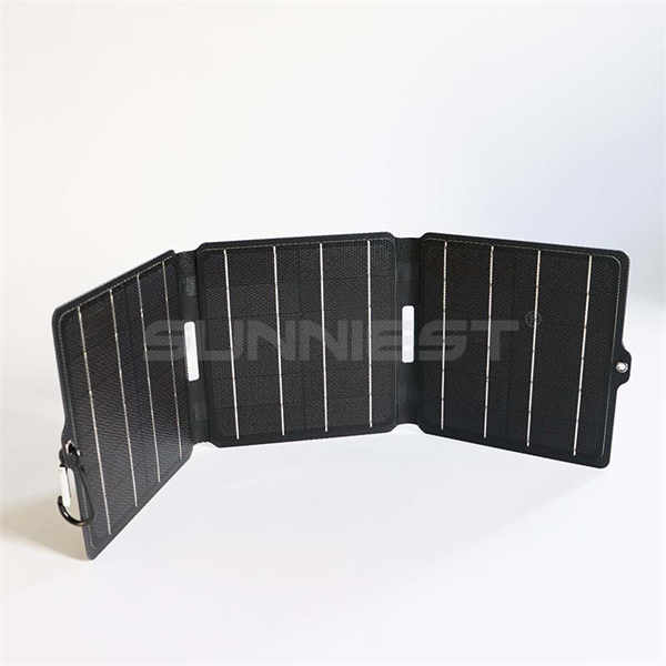 Unleashing the Potential of Solar Panels