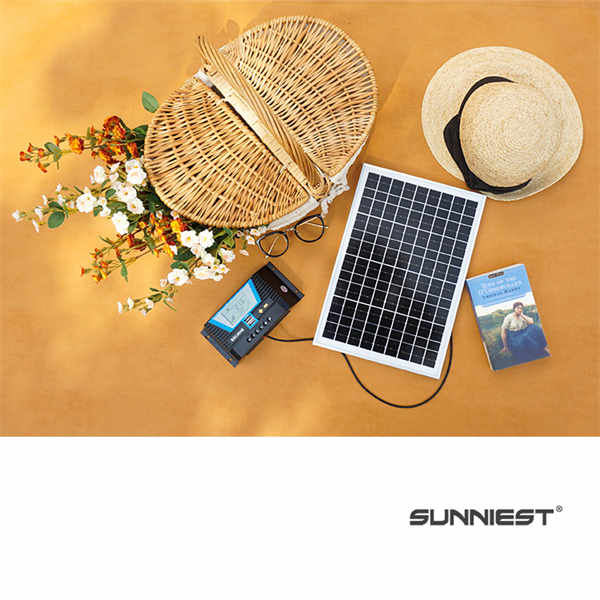 Leading the green energy revolution