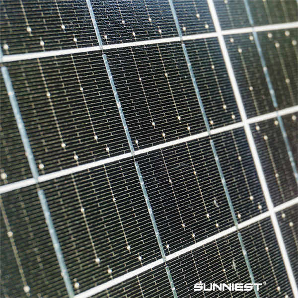 The Future of Renewable Energy
