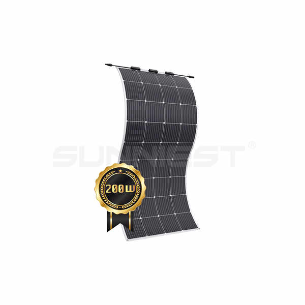 The future of renewable energy