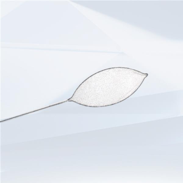 The Ebus aspiration needle difference