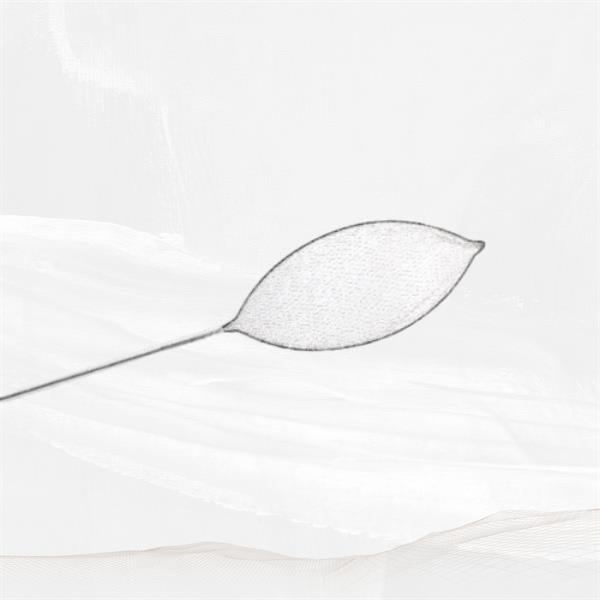 Trusted ebus aspiration needle supplier in China