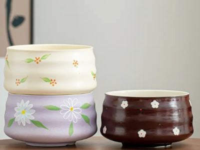 Why Our Matcha Sets Are the Best Value for Budget Buyers?